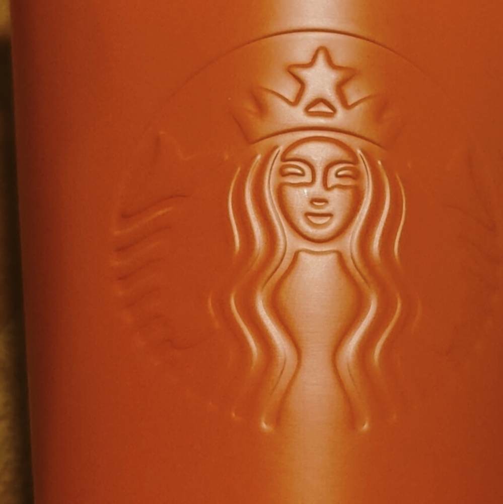 Brand New Stainless Steel RARE Starbucks Cold Tumbler